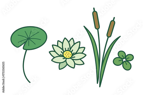 Set of aquatic and wetland flora featuring water lily, cattails, and lily pads