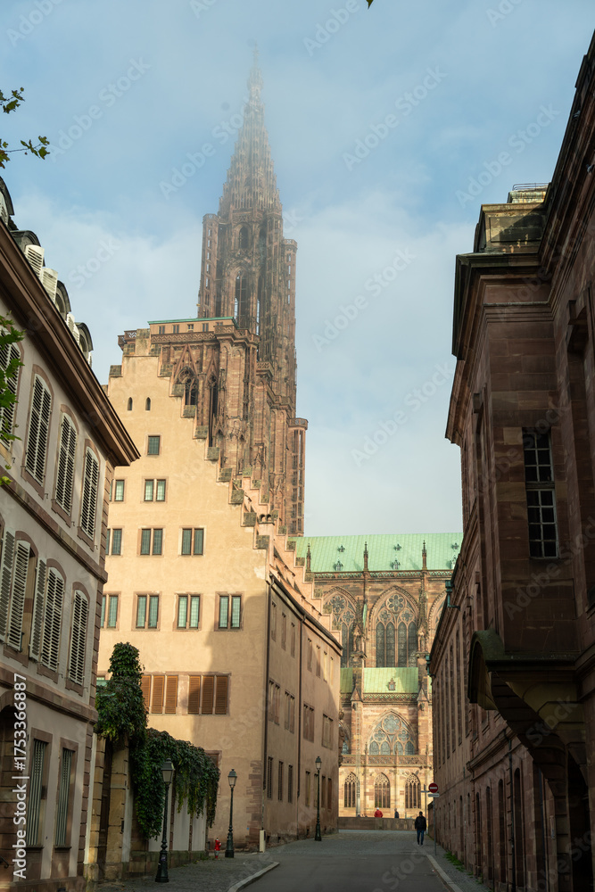 Fototapeta premium Cathédrale Notre Dame de Strasbourg