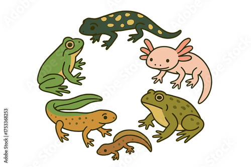 Colorful group of diverse amphibians including frogs, salamanders, newts, and axolotl