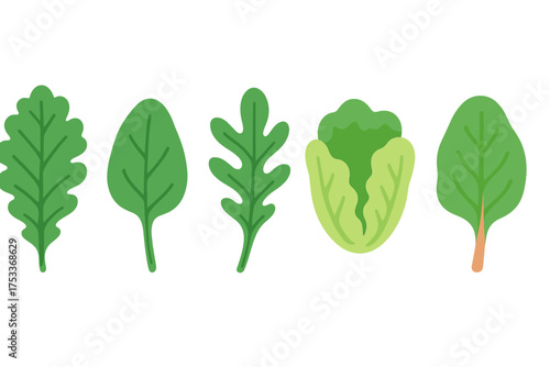 Set of fresh leafy green vegetables including spinach, arugula, and romaine
