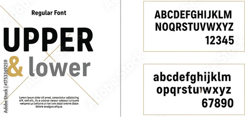 Typography Upper and Lower Case Letters & Numbers Font Style Display on White