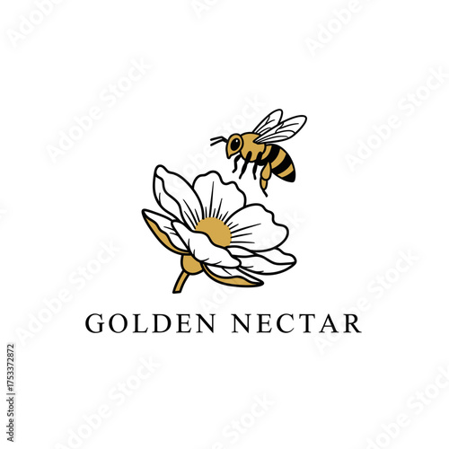 bee flower blossom insect nature animal flora garden beauty honey