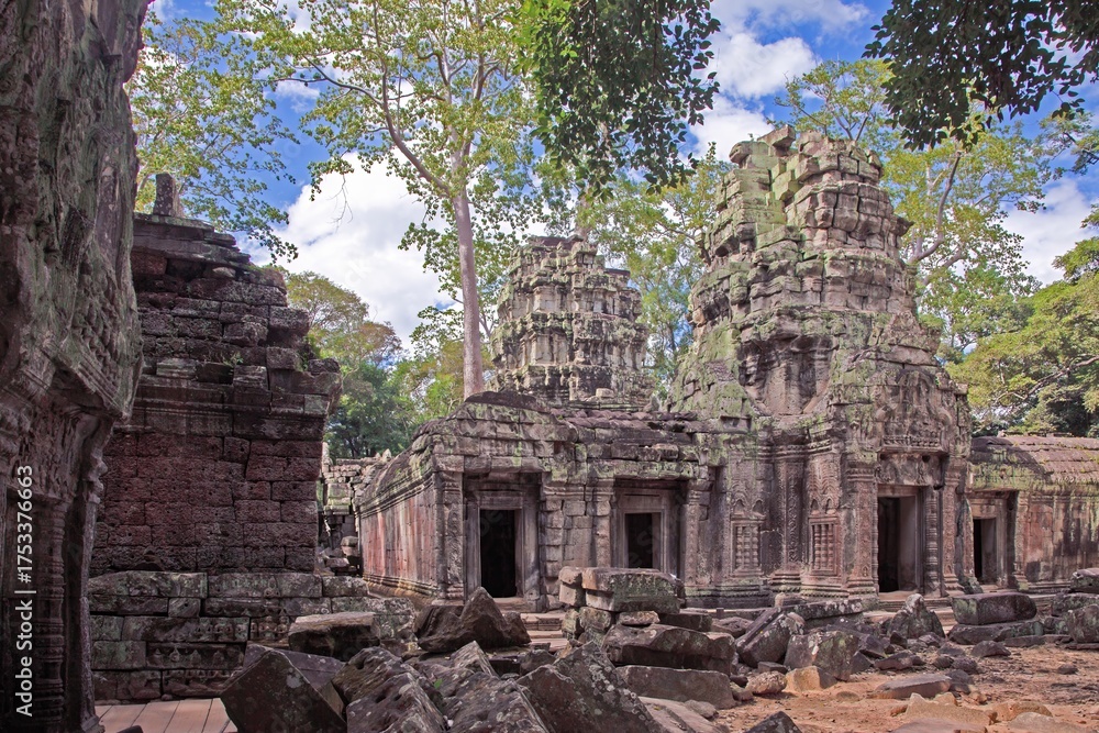 Naklejka premium Ancient temple ruins with trees Angkor Wat Cambodia