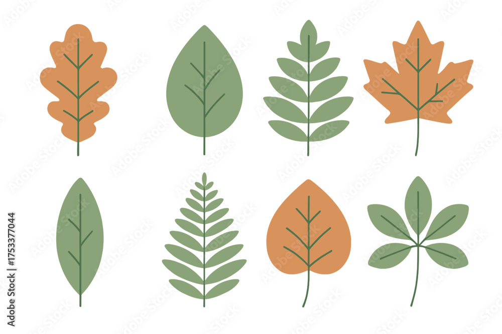 Fototapeta premium Stylized assortment of autumn and summer tree leaves in green and orange hues