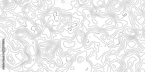 Topographic beautiful white and black contour topo wavy pattern map line design, geography map line, presentation white background. Use for template, wallpaper, web vector illustration.	