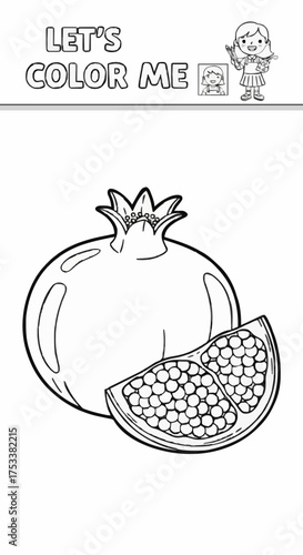 Single vector about drawing fruit pomegranate