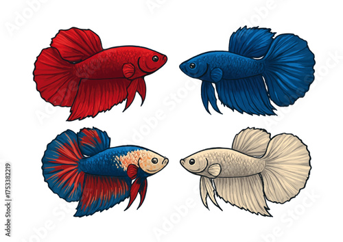 Four vibrantly colored Siamese fighting fish illustrations, each with unique fin and body patterns.