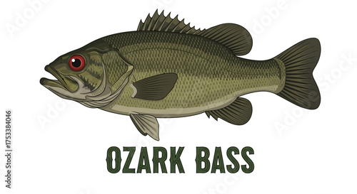 Ozark Bass Fish Illustration with Text