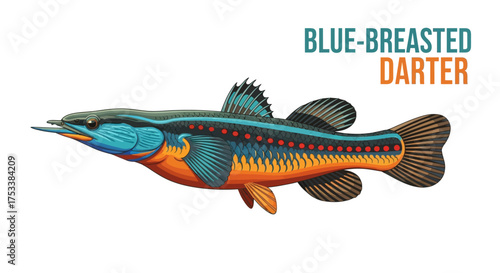 Vibrant Blue-Breasted Darter Fish Illustration Isolated on White Background