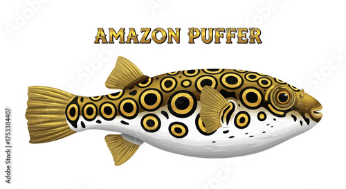 Amazon Puffer Fish Illustration