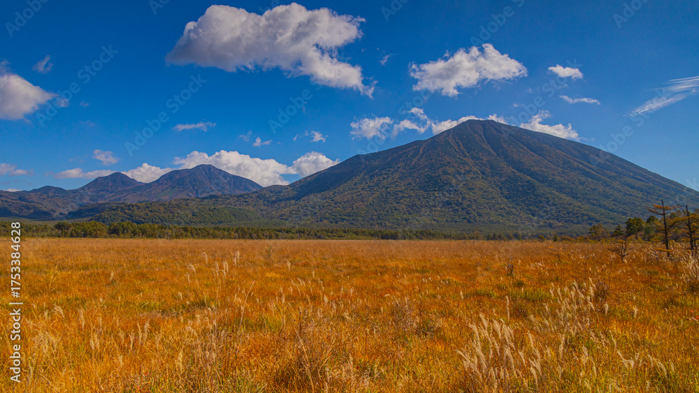 Fototapeta premium 戦場ヶ原の草紅葉と日光男体山 秋の奥日光 絶景