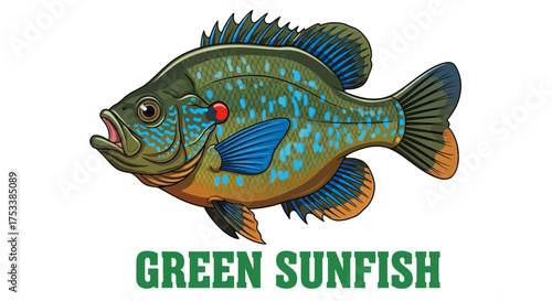 Green Sunfish Illustration with Text