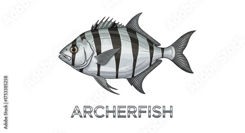 Striped Archerfish Illustration with Text