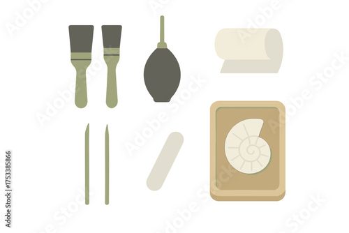 Paleontology tools for fossil preparation displayed with an ammonite specimen