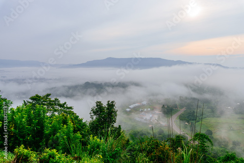 misty morning in the mountains