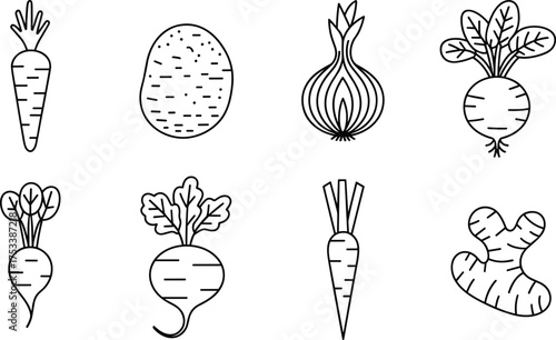 Black and white root vegetable line art set, carrot potato onion beet ginger illustration, minimalist healthy food vector design