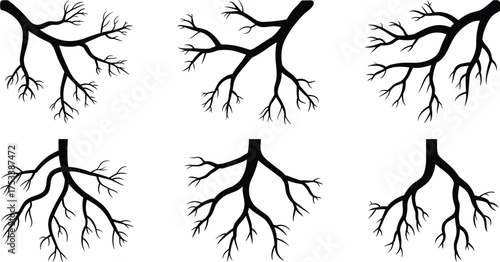 Black tree branch silhouette set, minimalist nature illustration, bare winter branch design, forest element vector, natural growth line art graphic