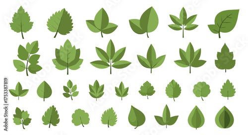 Diverse Collection of Green Leaf Illustrations for Design and Decorative Purposes
