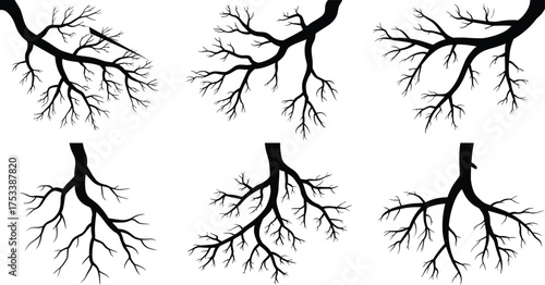 Black tree branch silhouette set, minimalist nature illustration, bare winter branch design, forest element vector, natural growth line art graphic