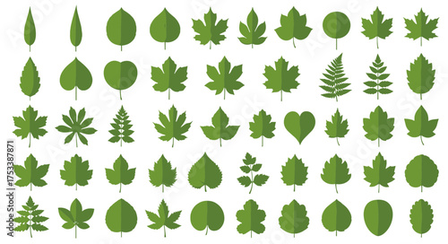 A comprehensive collection of various green leaf icons representing different tree and plant species