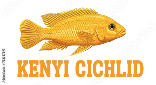 Golden Kenyi Cichlid Fish Illustration with Text