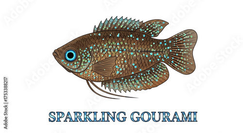 Sparkling Gourami Fish Illustration with Blue Spots
