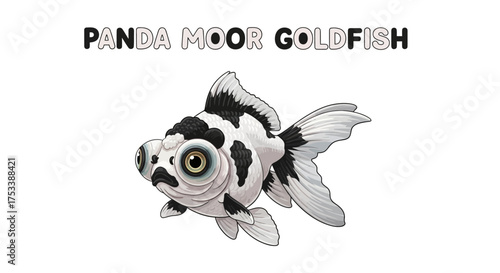 Panda Moor Goldfish Illustration with Text
