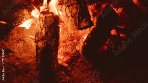 The Captivating Campfire Flames and Glowing Coals Create a Warmth in the Night Sky