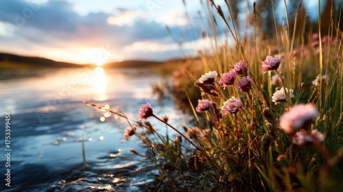 A tranquil sunset casts a warm glow over a peaceful lake, highlighted by delicate flowers at the water's edge, capturing the essence of nature's beauty and serene moments.
