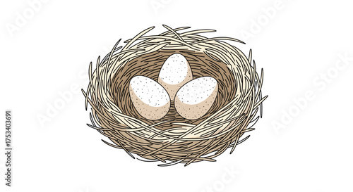 A close up of a bird nest with three eggs inside it.
