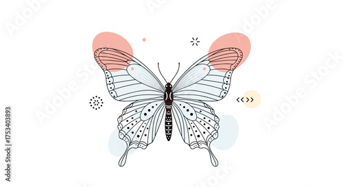 A delicate white butterfly with intricate patterns rests peacefully.
