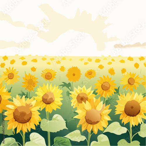Sonnenblumenfeld im Sommerlicht