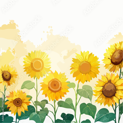 Sonnenblumenfeld im Sommerlicht