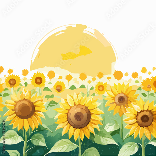 Sonnenblumenfeld im Sommerlicht