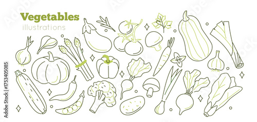 Hand drawn vegetables set. Vector collection of various fresh garden vegetables such as tomato, pumpkin, carrot, onion, pepper, broccoli, garlic and other. Sketch doodle style illustration.