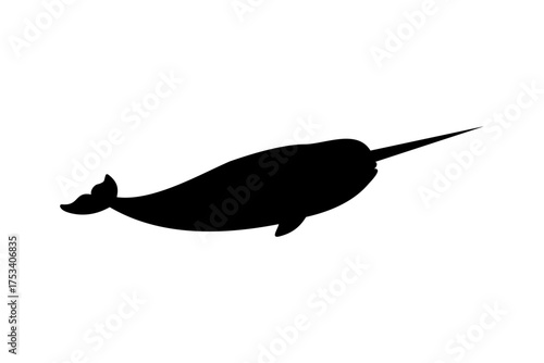 Narwhal silhouette vector flat design on white background. Narwhal icon.