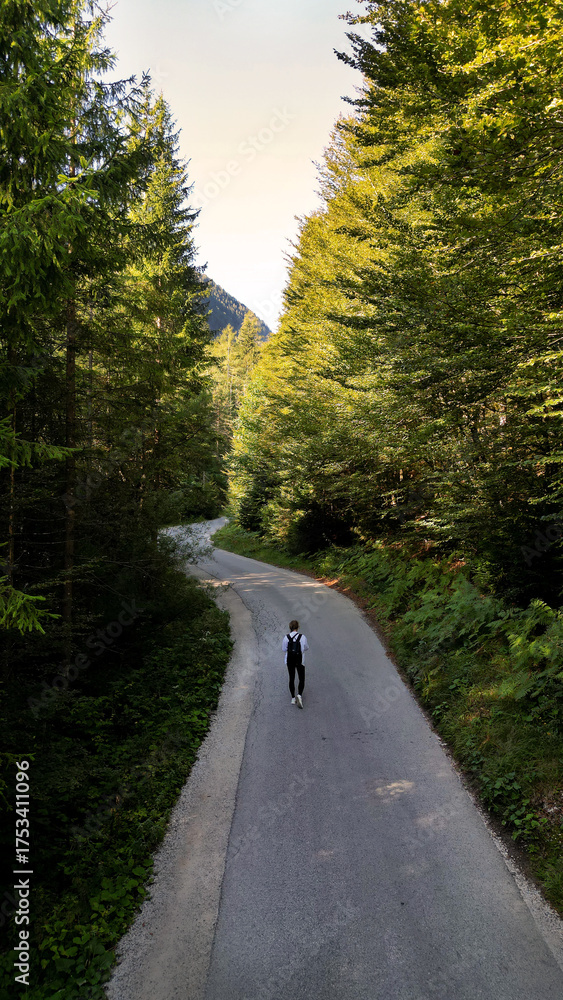 Fototapeta premium Lonely traveler walking on winding forest road in sunny Slovenia mountains