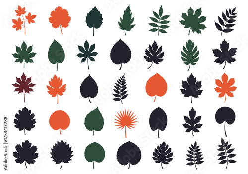 A collection of diverse autumnal leaf shapes and silhouettes.
