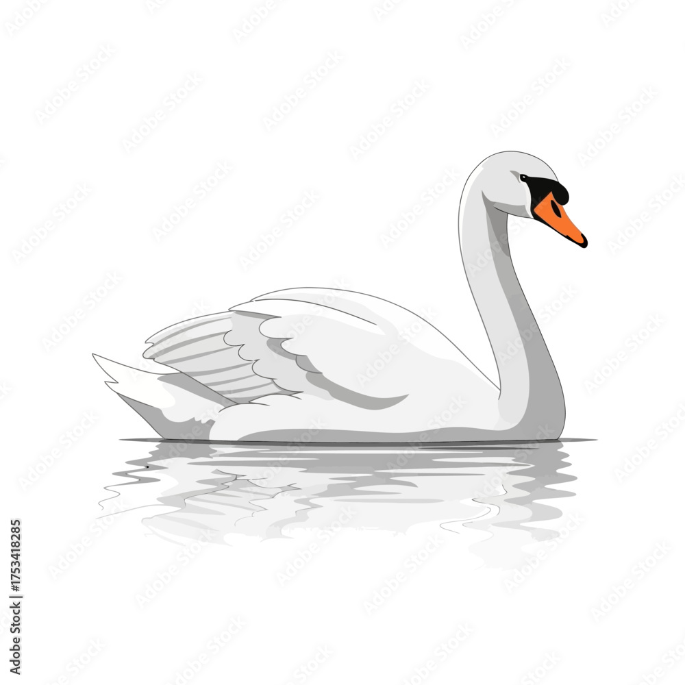 Fototapeta premium Elegant White Swan Swimming, Vector Illustration with Reflection