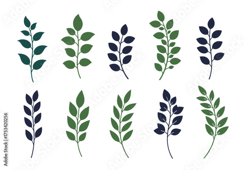 A collection of various botanical branches and leaves in complementary color schemes.