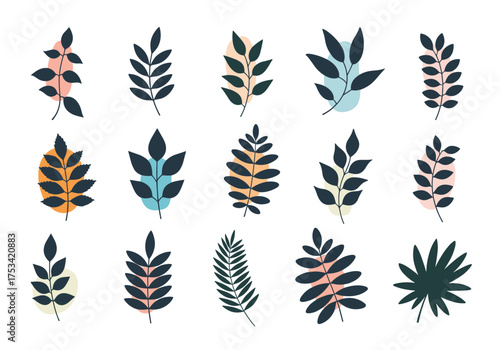 A beautiful collection of abstract botanical leaf illustrations with muted color backgrounds.