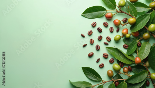 Wallpaper Mural Photo flat lay arrangement with coffee beans leaves and unripe coffee berries. Fresh green leaves and colorful berries. Coffee concept on green backdrop. Torontodigital.ca