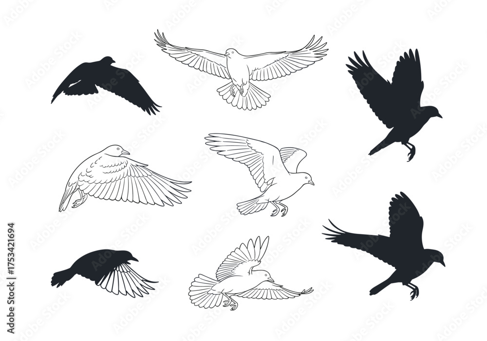 Obraz premium A collection of different bird silhouettes in flight showing various poses and wing positions.