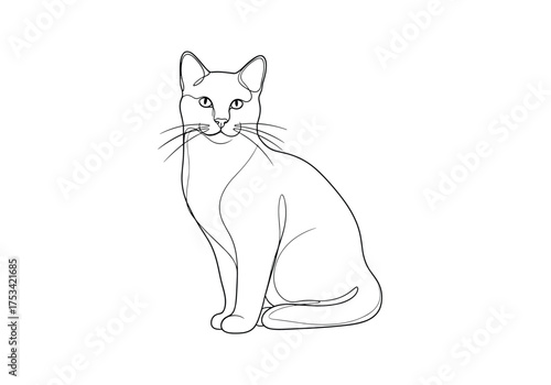 A realistic line drawing of a domestic cat sitting upright facing the viewer.