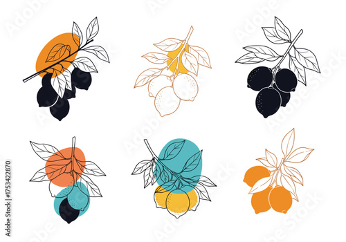 Abstract minimalist artistic fruit and leaf illustrations with vibrant color splashes.