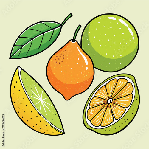 Colorful citrus fruit illustration featuring oranges, lemons, and limes with fresh green leaves, drawn in a vibrant cartoon style