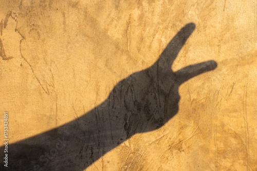 Shadow Gesture of Peace: The silhouette of a hand forms the iconic V sign against a textured surface, representing unity, hope, and solidarity. Evoking a sense of optimism and peaceful connection.