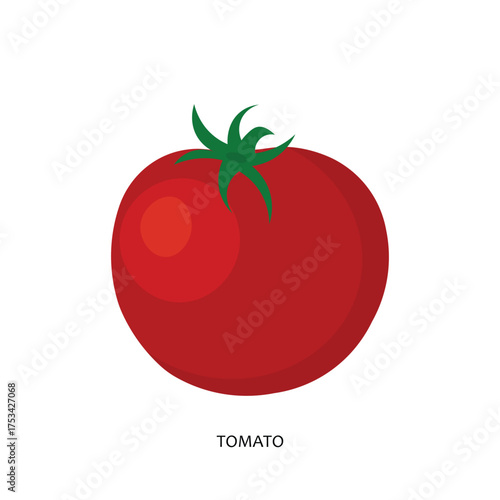 Fresh Tomatoes Lined Up Healthy Food Illustration