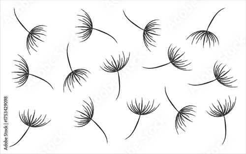 Eyelash sketch design set, Beauty makeup line art, Feminine cosmetic doodles