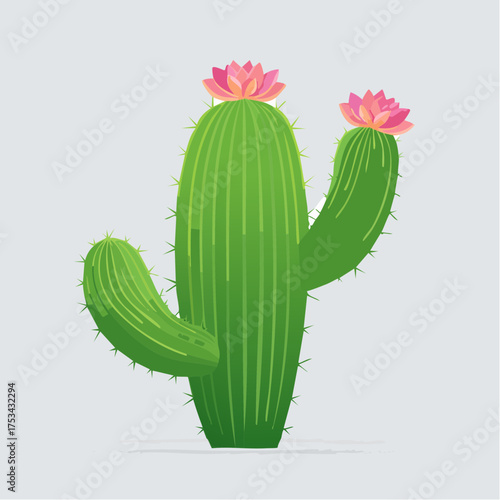 Kaktus mit rosafarbenen Blüten